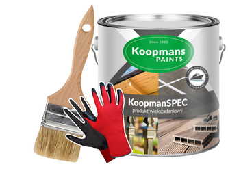 KoopmanSPEC Farba do metalu betonu BIAŁY 0,25L