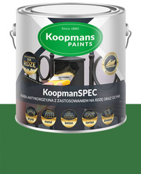 Koopmans KoopmanSPEC Farba do drewna kamienia metal RAL 6010 ZIELONY 0,25L