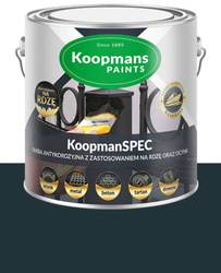 Koopmans KoopmanSPEC Farba do drewna kamienia metal RAL 7016 ANTRACYT 0,25L